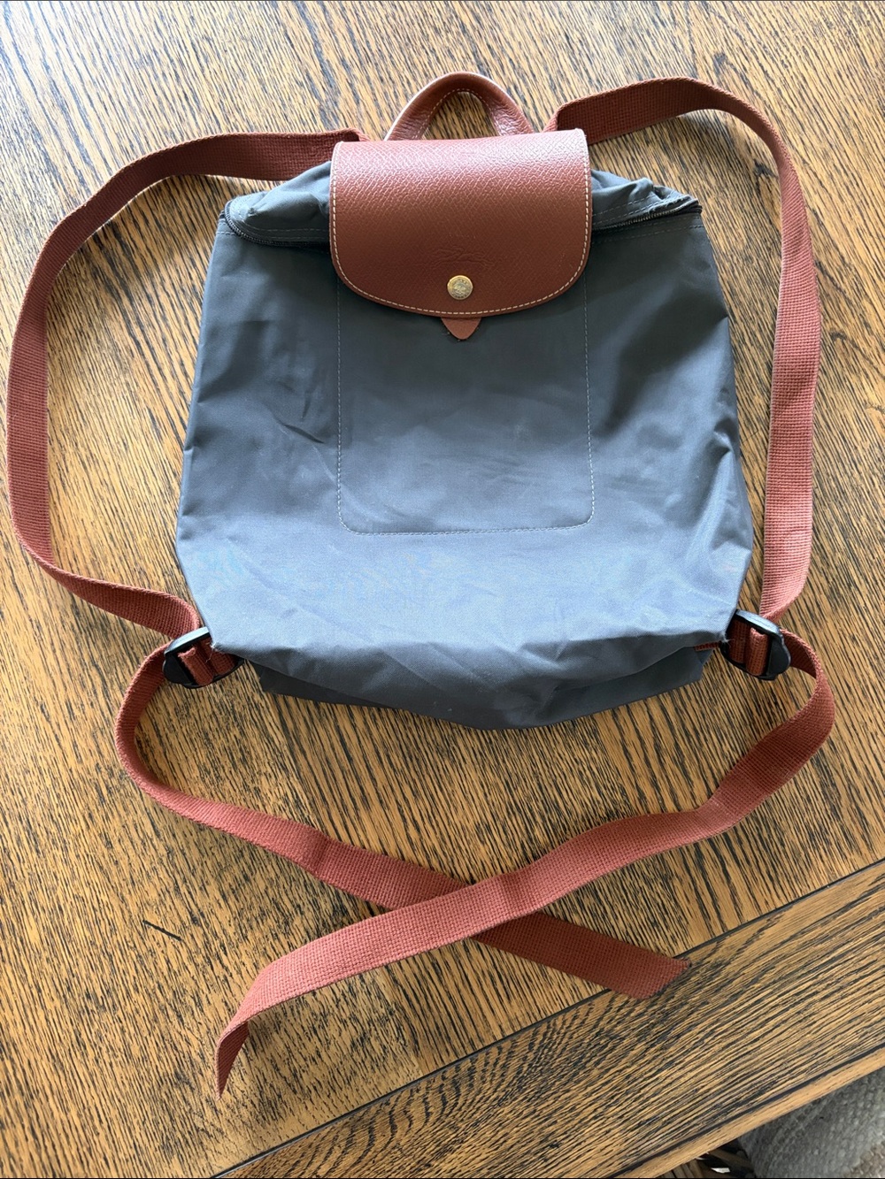 Longchamp Mini Le Pliage Canvas Backpack